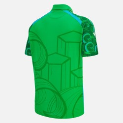 Ireland 2026 Half Sleeves Cricket Fan Jersey - 100% Dryfit Polyester - With Name Personalization