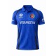 Afghanistan 2026 T20 World Cup Half Sleeves Cricket Fan Jersey - 100% Dryfit Polyester - With Name Personalization