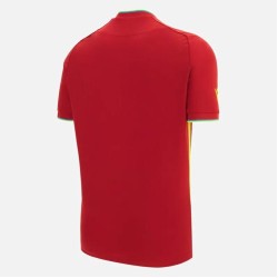 West Indies T20 World Cup 2026 Half Sleeves Cricket Fan Jersey - 100% Dryfit Polyester - With Name Personalization
