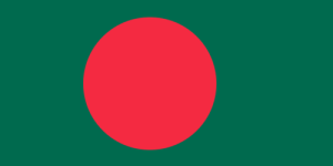 Bangladesh Cricket Fan Jersey