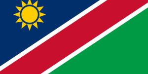Namibia Cricket Fan Jersey