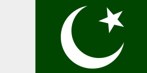Pakistan Cricket Fan Jersey