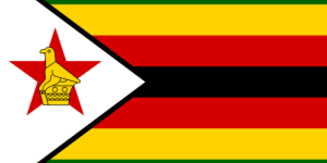 Zimbabwe Cricket Fan Jersey