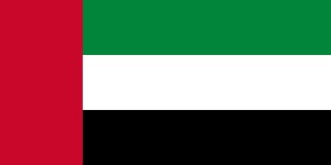United Arab Emirates Cricket Fan Jersey
