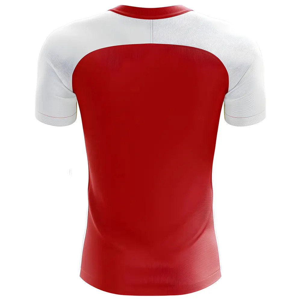 2025-2026 Turkey Home Concept Football Shirt