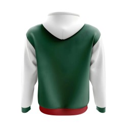 Turkmenistan Concept Country Football Hoody (Green)
