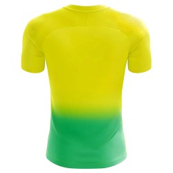 2025-2026 Norwich Home Concept Football Shirt 2025-2026 Norwich Home Concept Football Shirt