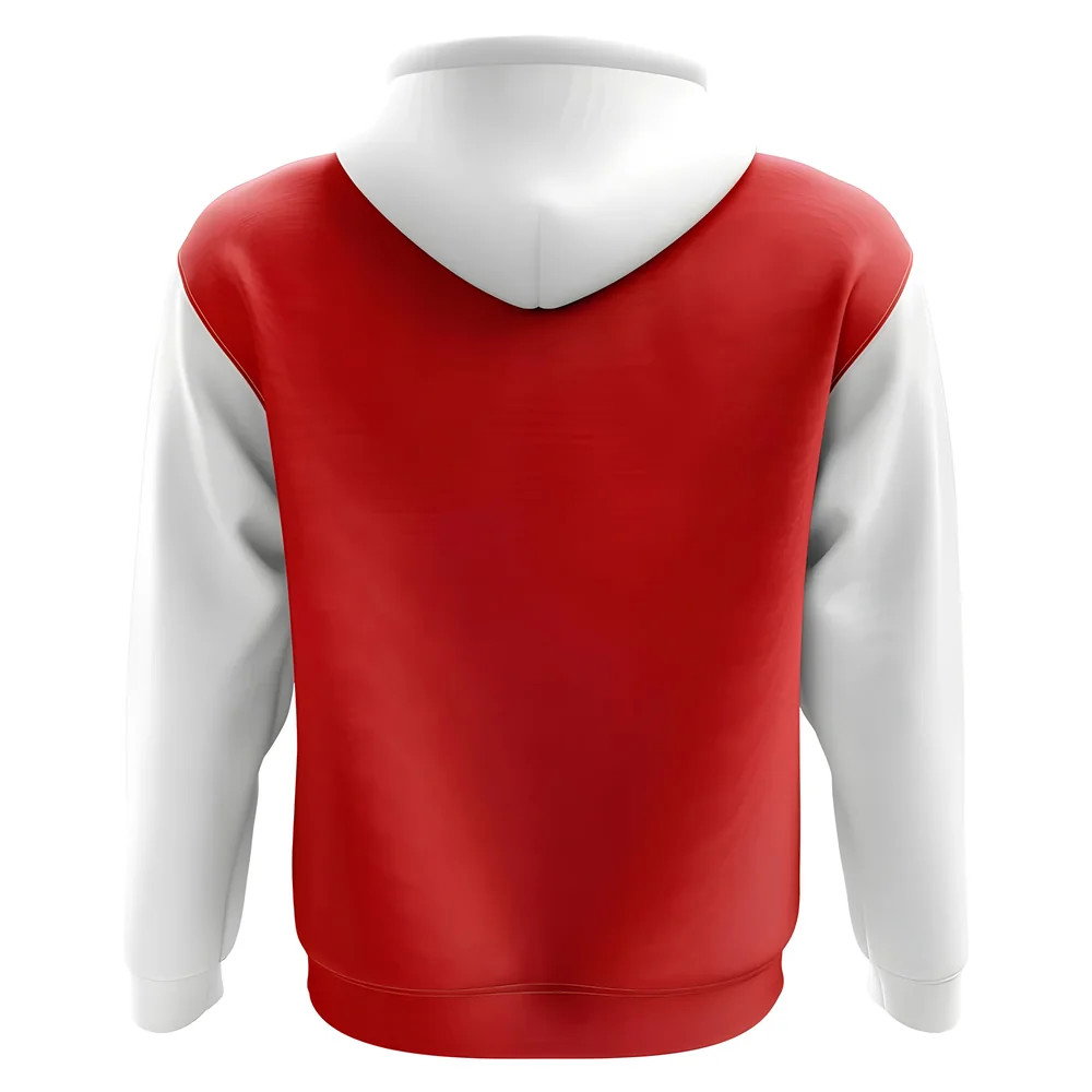 Sheffield United Concept Club Football Hoody (Red)