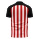 2025-2026 Sunderland Home Concept Football Shirt - Womens