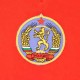 Bulgaria 1974 World Cup Retro Football Shirt