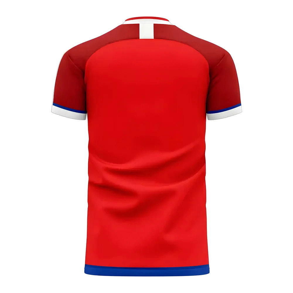 Czech Republic 2025-2026 Home Concept Kit (Libero)