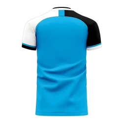 Botswana 2025-2026 Home Concept Football Kit (Libero)