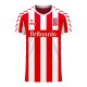 Stoke 2025-2026 Home Concept Football Kit (Viper)