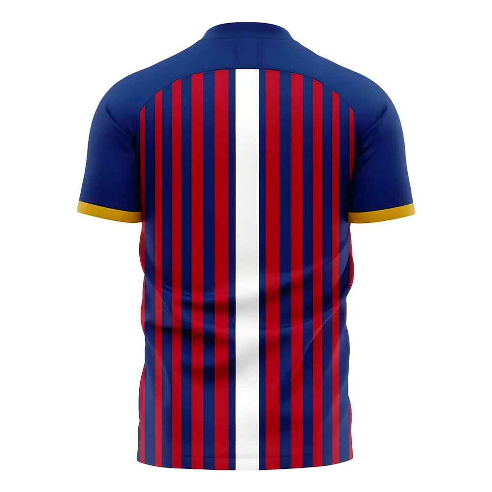 Caen 2025-2026 Home Concept Football Kit (Libero) - Womens Caen 2025-2026 Home Concept Football Kit (Libero) - Womens
