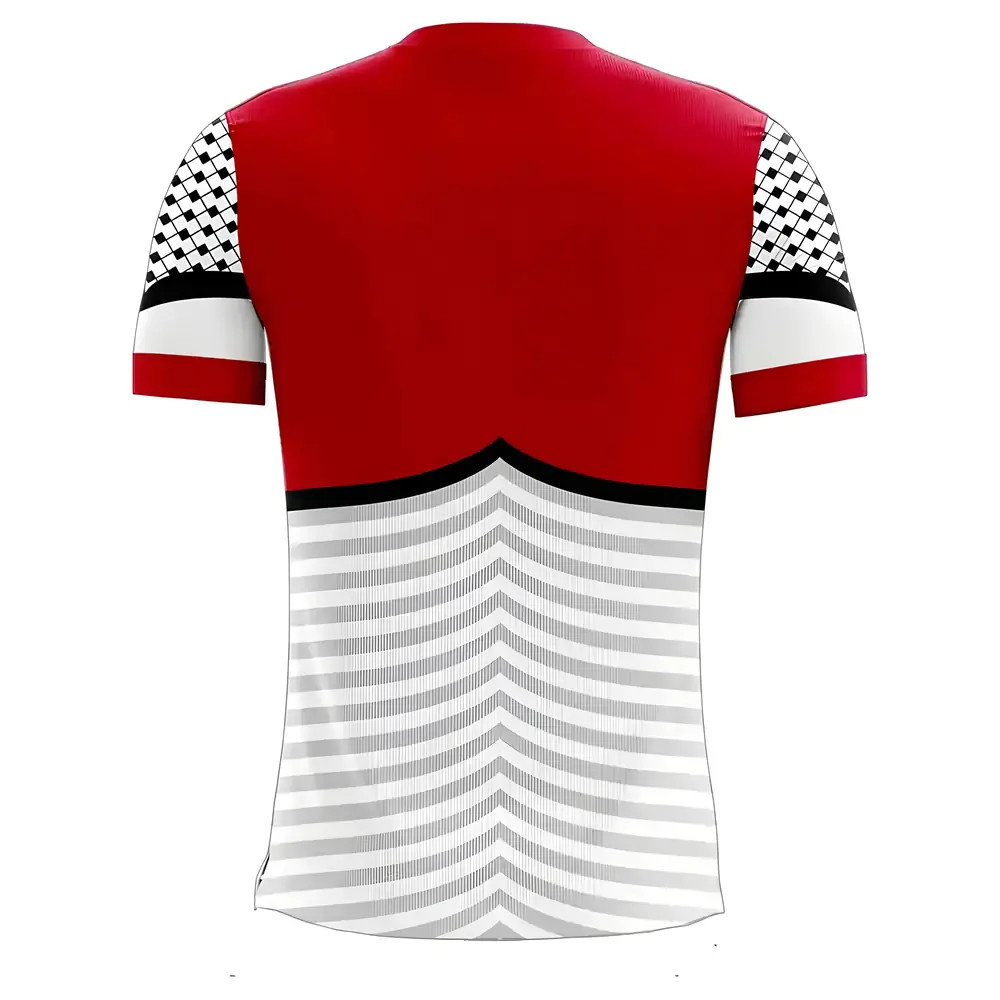 Palestine 2025-2026 Home Concept Football Kit (Libero) - Baby