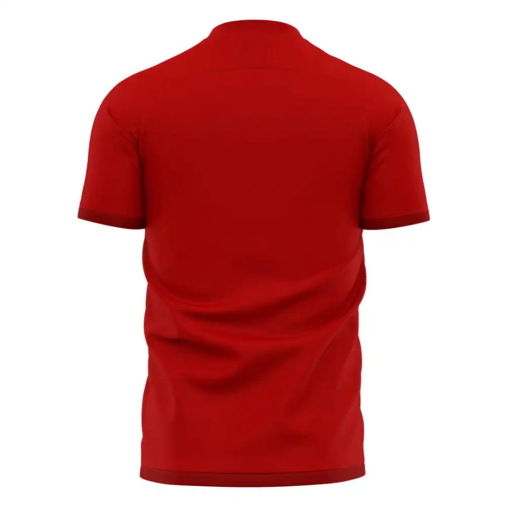 Nurnberg 2025-2026 Home Concept Football Kit (Libero) Nurnberg 2025-2026 Home Concept Football Kit (Libero)
