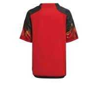 2022-2023 Belgium Home Mini Kit