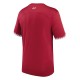 2022-2023 Qatar Home Shirt 2022-2023 Qatar Home Shirt