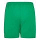 2023-2024 Republic of Ireland Away Shorts (Green) 2023-2024 Republic of Ireland Away Shorts (Green)