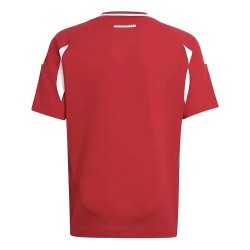 2024-2025 Hungary Home Shirt