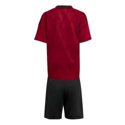 2024-2025 Belgium Home Mini Kit 2024-2025 Belgium Home Mini Kit