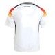 2024-2025 Germany Home Mini Kit