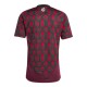 2024-2025 Mexico Home Shirt 2024-2025 Mexico Home Shirt