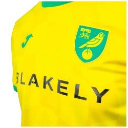 2024-2025 Norwich Home Shirt 2024-2025 Norwich Home Shirt