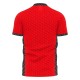 Kaiserslautern 2024-2025 Home Concept Football Kit (Libero) (Your Name)