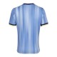 2024-2025 Tottenham Hotspur Away Shirt
