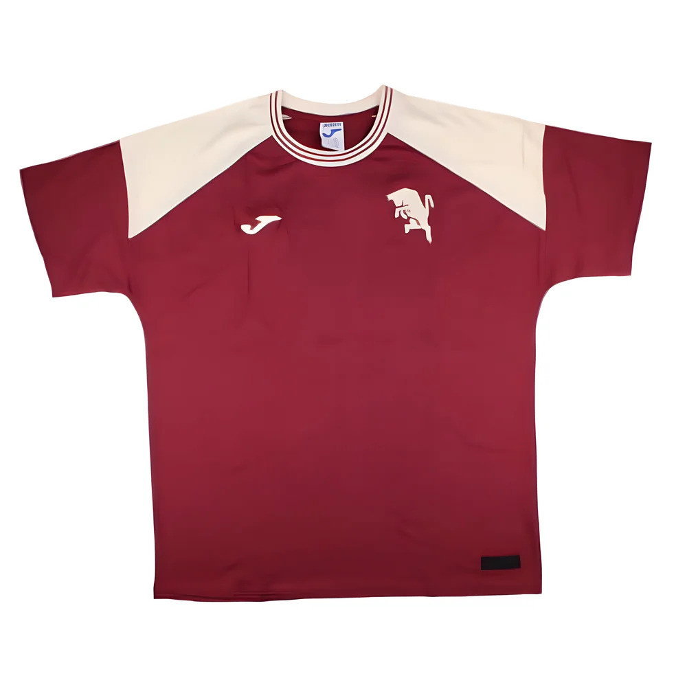 2024-2025 Torino Free Time T-Shirt (Burgundy)