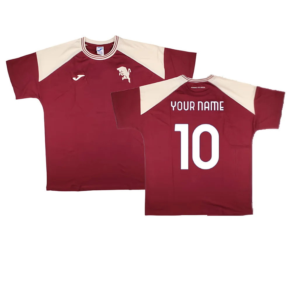 2024-2025 Torino Free Time T-Shirt (Burgundy)