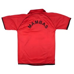 2009-2010 Mozambique Home Shirt 2009-2010 Mozambique Home Shirt