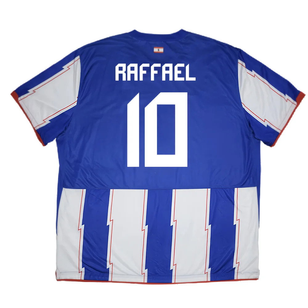 Hertha Berlin 2010-11 Home Shirt (Raffael 10)