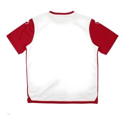 Kaiserslautern 2016-18 Third Shirt