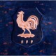 2025 France Womens Team Home Shirt (Unisex)