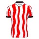 2025-2026 Stoke City Home Shirt 2025-2026 Stoke City Home Shirt
