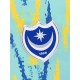 2024-2025 Portsmouth Third Shirt 2024-2025 Portsmouth Third Shirt