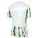 2025-2026 Nigeria Womens Team Away Shirt (Unisex)