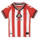 2025-2026 Sunderland Home Mini Kit