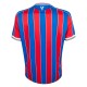 2025-2026 Crystal Palace Home Shirt 2025-2026 Crystal Palace Home Shirt