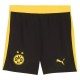 2025-2026 Borussia Dortmund Home Shirt 2025-2026 Borussia Dortmund Home Shirt