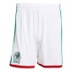 2026-2027 Mexico Home Shirt 2026-2027 Mexico Home Shirt