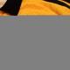 2026-2027 Jamaica Home Shirt