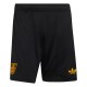 2026-2027 Jamaica Authentic Away Shirt