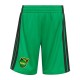 2026-2027 Jamaica Home Mini Kit