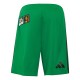 2026-2027 Jamaica Home Mini Kit