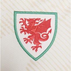 2026-2027 Wales Away Shirt